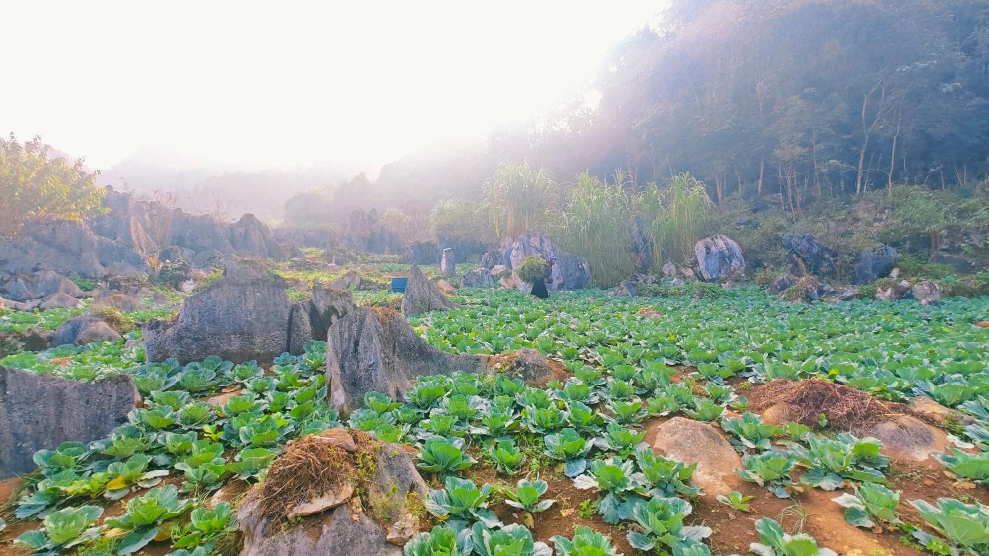 Nha Co Lao Xa Homestay Hmong & Bungalow Air Conditioner Dong Van  Buitenkant foto